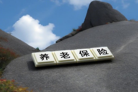養(yǎng)老保險|北京養(yǎng)老保險公司轉(zhuǎn)讓項目 100%股權(quán)轉(zhuǎn)讓41BJ-0709