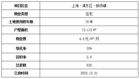 上海浦東新場(chǎng)住宅出售項(xiàng)目