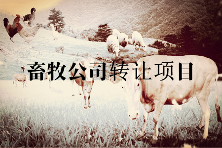 畜牧公司轉(zhuǎn)讓項(xiàng)目