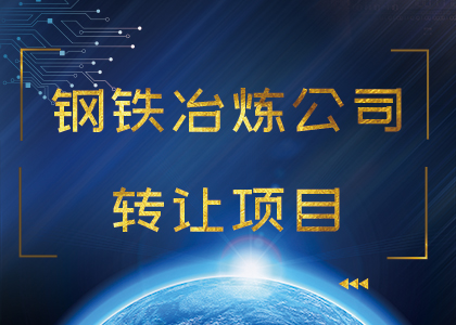 鋼鐵冶煉公司轉(zhuǎn)讓項(xiàng)目
