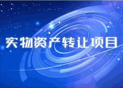 實(shí)物資產(chǎn)轉(zhuǎn)讓項(xiàng)目