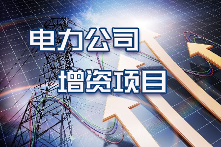 電力公司增資項目